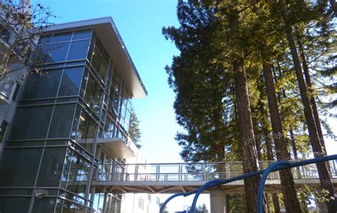 UCSC — from classes on science fiction to a gaming-themed housing . . Merrill housing ucsc